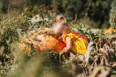 Kabaklar alandaki küçük kız 