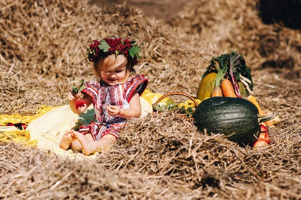Девушка в платье с узорами возле сена — стоковое фото