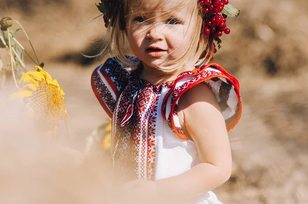 Girl in dress with patterns near the hay — Stock Photo, Image