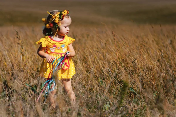 Menina vestindo grinalda no campo — Fotografia de Stock