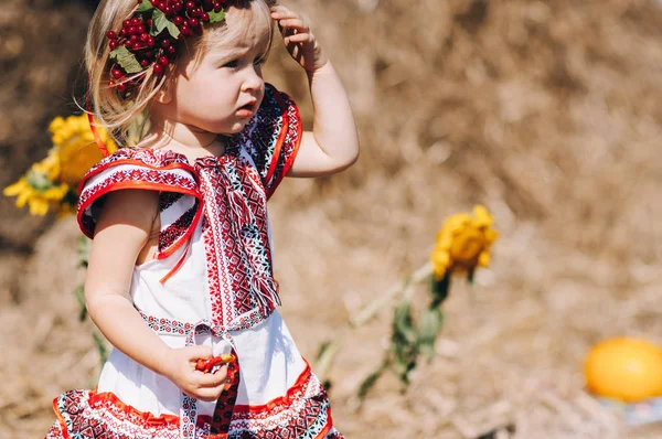 Девушка в платье с узорами возле сена — стоковое фото