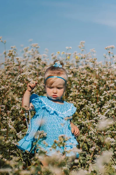 Little girl in yellow buckwheat field — Stock Photo, Image