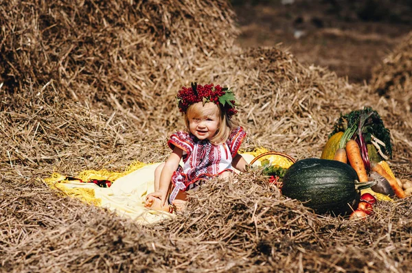 Chica en vestido con patrones cerca del heno — Foto de Stock