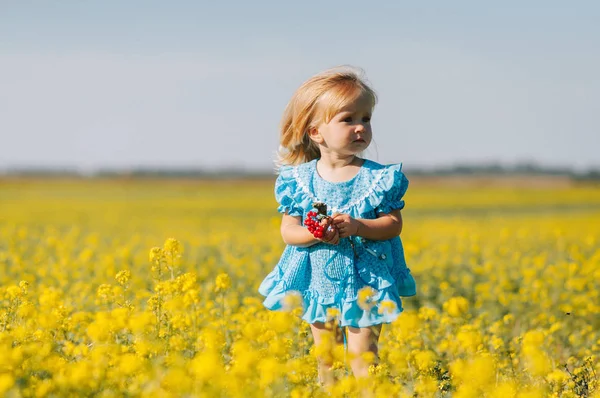 Little girl in yellow flowers field — Stock Photo, Image