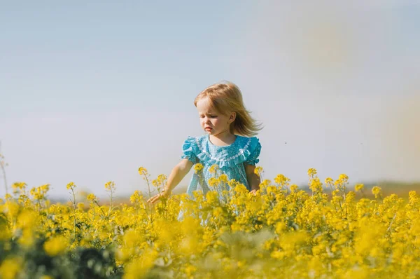 Little girl in yellow flowers field — Stock Photo, Image