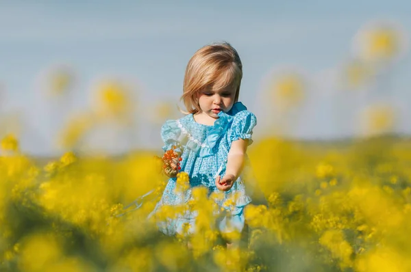 Menina no campo de flores amarelas — Fotografia de Stock