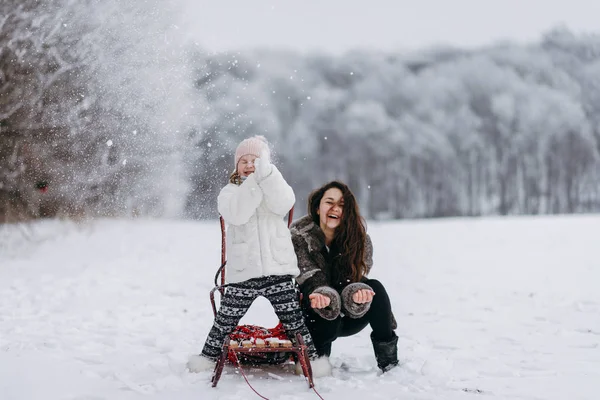 Dziewczyny Zabawy Śniegu Zimie Park — Zdjęcie stockowe