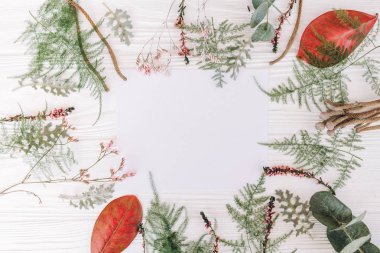 Yaprakları, sapları ve ahşap plakalar zemin üzerine tomurcukları ile düzenli çerçeve çiçek