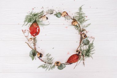 Yaprakları, sapları ve tomurcukları, bıldırcın yumurtası ve ahşap plakalar arka plan tüyler yuvarlak çerçeve çiçek