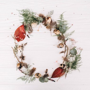 Yaprakları, sapları ve tomurcukları, bıldırcın yumurtası ve ahşap plakalar arka plan tüyler yuvarlak çerçeve çiçek