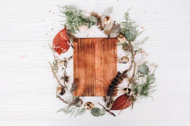 Yaprakları, sapları ve tomurcukları, bıldırcın yumurtası ve ahşap tahta ahşap plakalar arka plan üzerinde tüyleriyle yuvarlak çerçeve çiçek