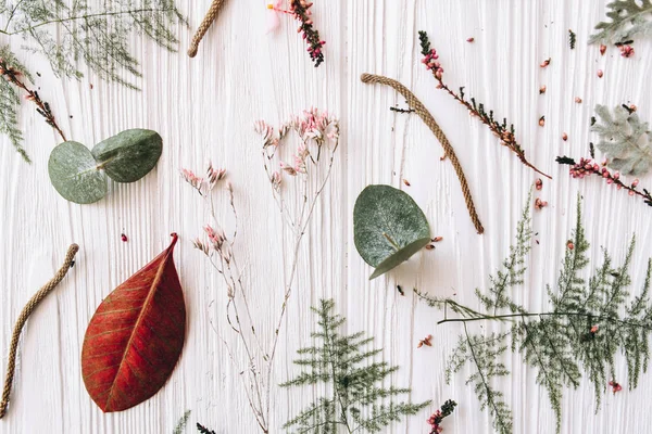 Composição Floral Com Folhas Verdes Vermelhas Caules Botões Sobre Pranchas — Fotografia de Stock