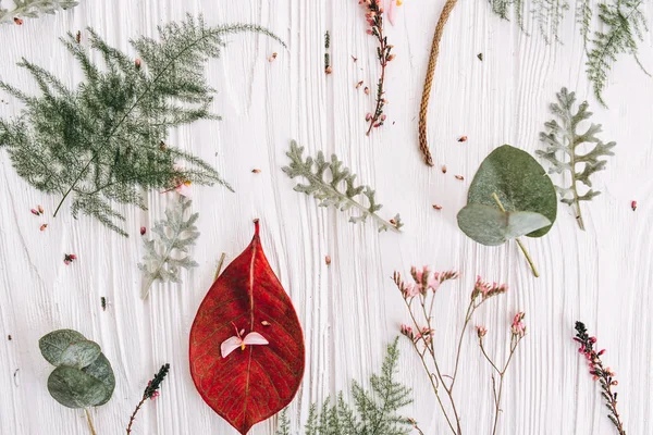 Composizione Floreale Con Foglie Verdi Rosse Steli Boccioli Sfondo Bianco — Foto Stock