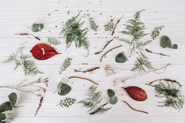 Цветочная Композиция Зелеными Красными Листьями Стеблями Почками Фоне Белых Деревянных — стоковое фото