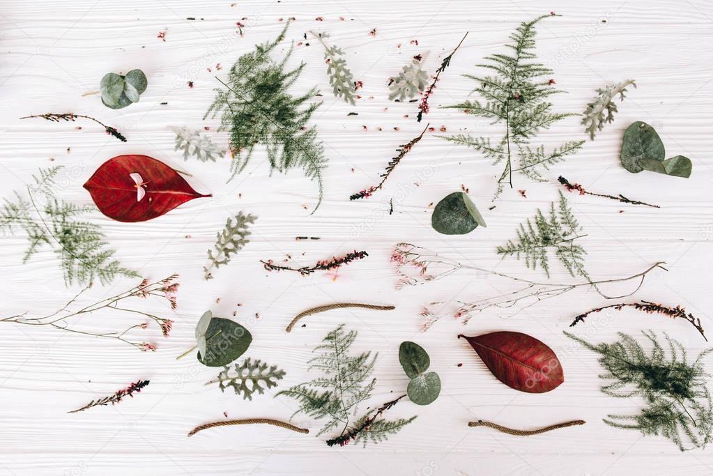 Floral composition with leaves, stems and buds on wooden planks background