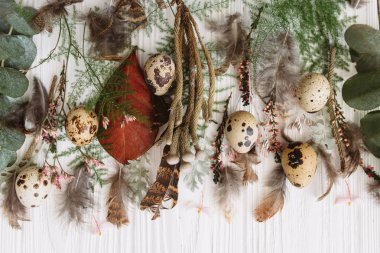 Bitkiler, bıldırcın yumurtası ve tüyleri beyaz ahşap zemin üzerinde çiçek kompozisyonu