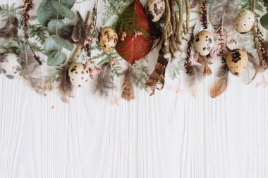 Bitkiler, bıldırcın yumurtası ve tüyler üstüne kenarlıklı çiçek kompozisyon