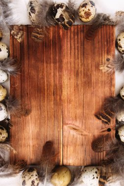 Bıldırcın yumurtası, tüyler ve kahverengi kurulu dekoratif kompozisyonu