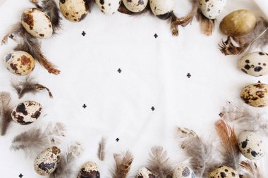 Çerçeve ile dekoratif bileşimi bıldırcın yumurtası ve sivilceli Tekstil arka plan tüyler