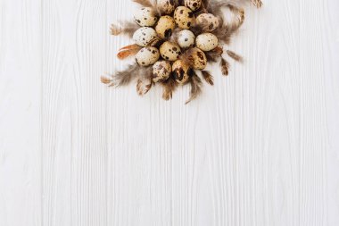 Bıldırcın yumurtası ve tüyleri beyaz ahşap zemin üzerinde üstüne kazık ile kompozisyon