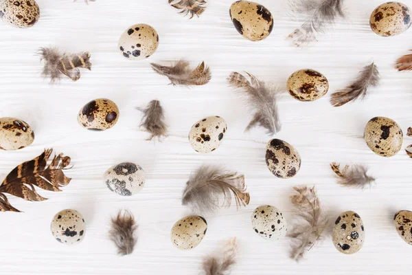 Decoratief Patroon Met Kwarteleitjes Veren Aan Witte Houten Tafel — Stockfoto