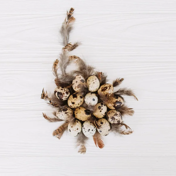 Composition Pile Bottom Quail Eggs Feathers White Wooden Background — Stock Photo, Image