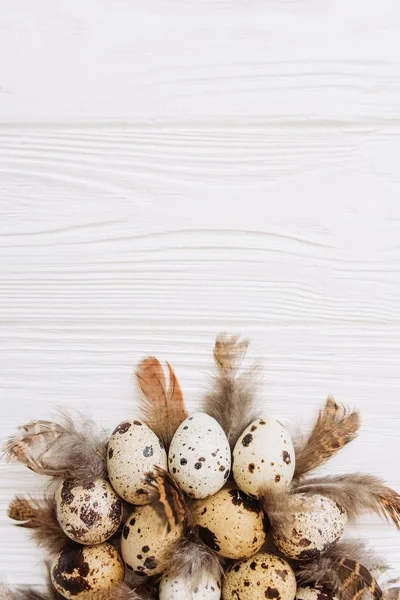 白木背景下鹌鹑卵和羽毛底部桩的组成 — 图库照片