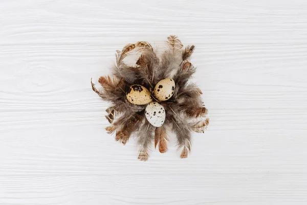 Bıldırcın Yumurtası Ortasına Yığın Tüyleri Beyaz Ahşap Zemin Üzerinde Kompozisyonu — Stok fotoğraf