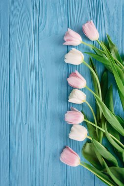 Mavi ahşap arka plan üzerinde sağ tarafta satırda döşeme Lale çiçek kompozisyon
