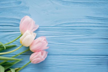 Mavi ahşap zemin üzerine dört Lale ile kompozisyon