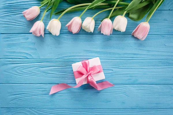 Floral composition of tulips laying in row on top on blue wooden background with gift box