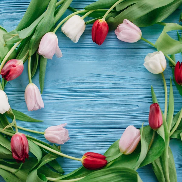 Circle frame made of tulips laying on blue wooden background