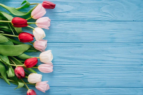 Floral composition of colourful tulips laying in row on left side on blue wooden background