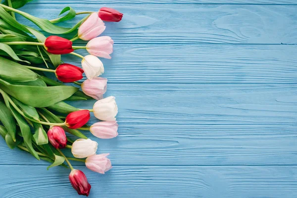 Floral composition of colourful tulips laying in row on left side on blue wooden background