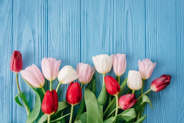 Floral composition of colourful tulips laying in row on bottom on blue wooden background