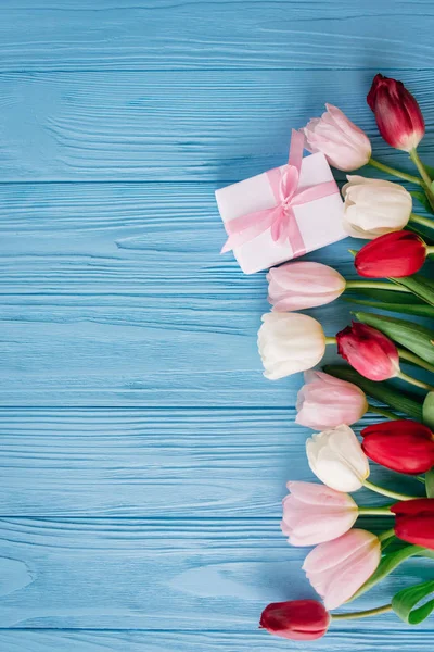 Floral composition of colourful tulips laying in row on right side on blue wooden background with gift box