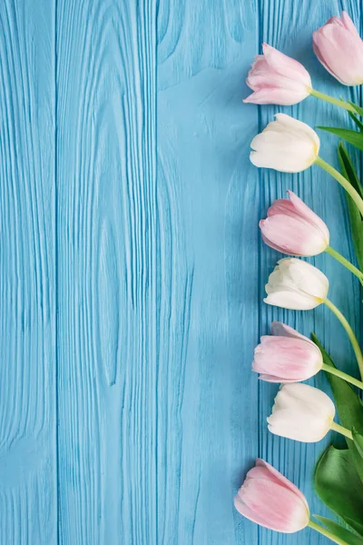 Квіткова Композиція Тюльпанів Лежать Ряд Справа Синьому Дерев Яному Фоні Стокове Зображення