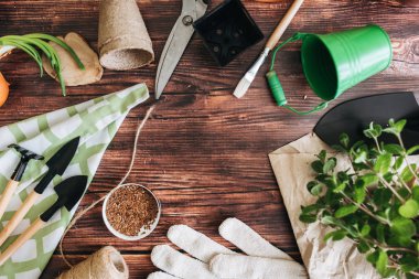 Bahçe aletleri ve Brüksel lahanası kahverengi ahşap zemin üzerinde çerçevenin üstten görünüm yapılmış