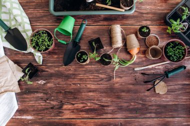 Taze lahanası ve kahverengi ahşap zemin üzerinde Bahçe aletleri kompozisyonu