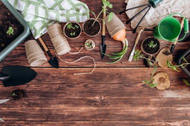 Kompozisyon kürek ile Bahçe, kesintiler, tencere, yeşil kova ve orta ahşap arka plan iş parçacığında lahanası 