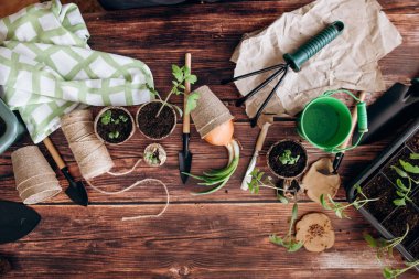 Kompozisyon kürek ile Bahçe, kesintiler, tencere, yeşil kova ve orta ahşap arka plan iş parçacığında lahanası