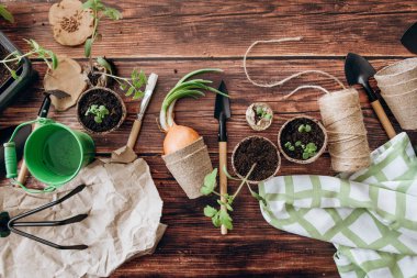 Kompozisyon kürek ile Bahçe, kesintiler, tencere, yeşil kova ve orta ahşap arka plan iş parçacığında lahanası