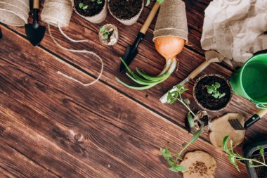 Kompozisyon kürek ile Bahçe, komisyon, tencere, yeşil kova ve üst kısmında ahşap arka plan iş parçacığı lahanası