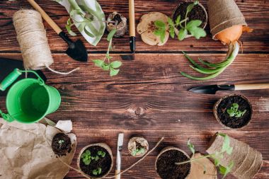 «Ana sayfa» kürek görünümünü, komisyon, lahanası tencere, yeşil kova ve ahşap arka plan iş parçacığında