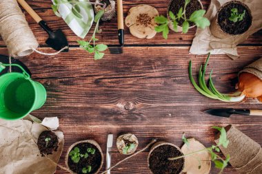 «Ana sayfa» kürek görünümünü, komisyon, lahanası tencere, yeşil kova ve ahşap arka plan iş parçacığında