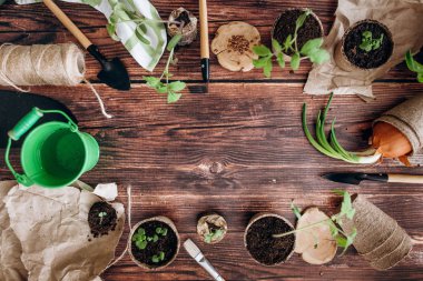 «Ana sayfa» kürek görünümünü, komisyon, lahanası tencere, yeşil kova ve ahşap arka plan iş parçacığında