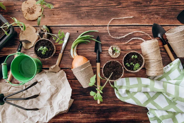 Kompozisyon kürek ile Bahçe, kesintiler, tencere, yeşil kova ve orta ahşap arka plan iş parçacığında lahanası