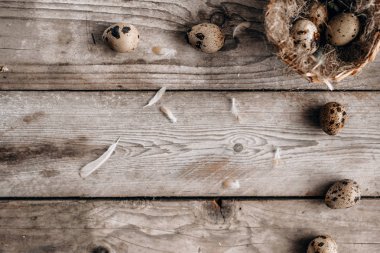 Bıldırcın yumurtası, yuva ve tüyler şenlikli kompozisyonu üstten görünüm yatay ahşap plakalar arka plan üzerinde