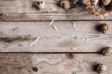 Bıldırcın yumurtası, yuva ve tüyler şenlikli kompozisyonu üstten görünüm yatay ahşap plakalar arka plan üzerinde