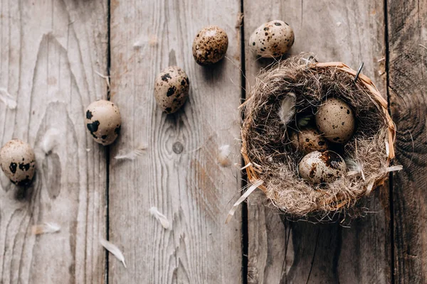 Ovanifrån Festliga Sammansättning Med Vaktelägg Nest Och Fjädrar Vertikala Träplankor — Stockfoto